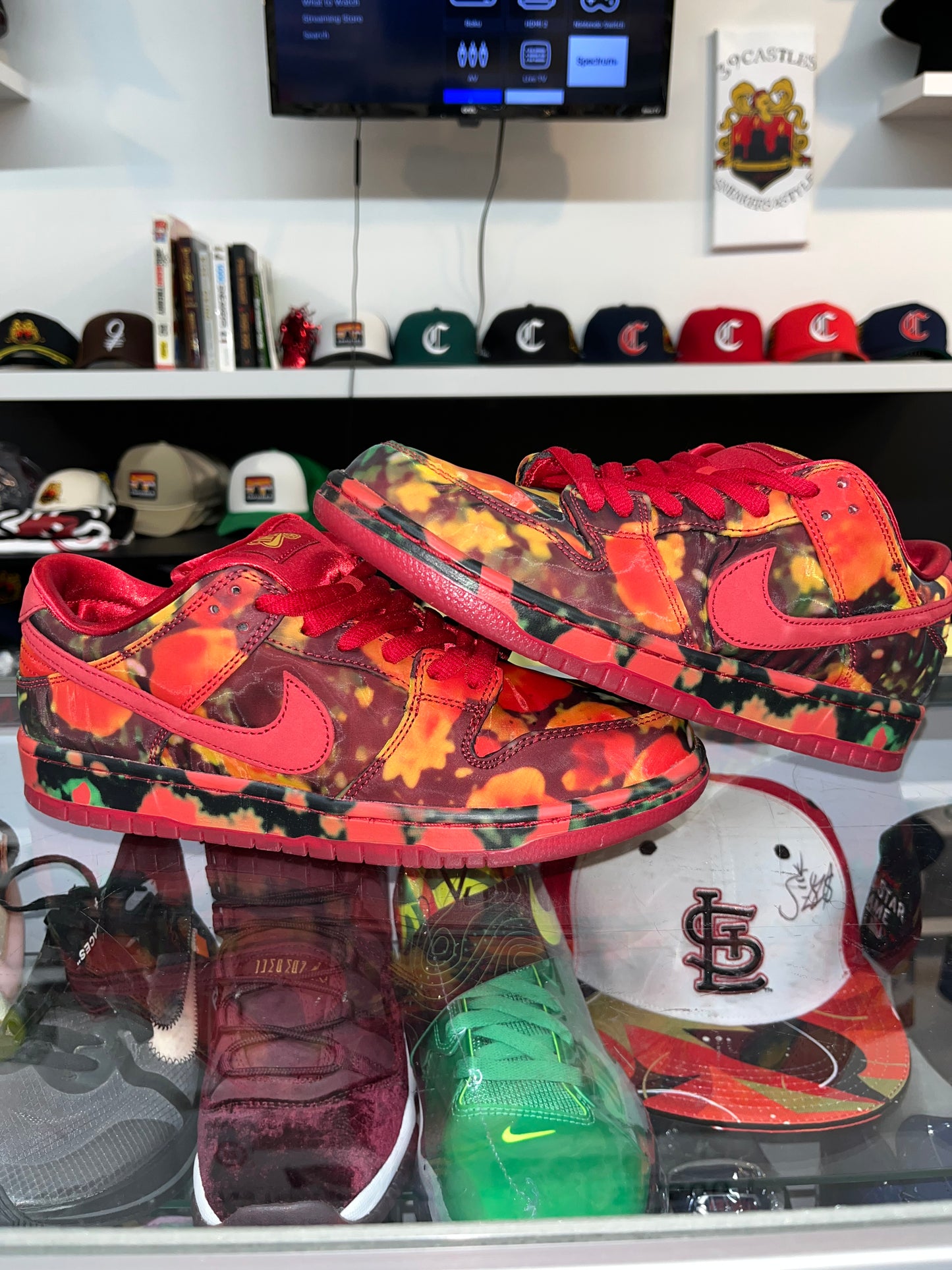 Nike Dunk Low SB - “Poppy Fields” (Wizard of Oz)