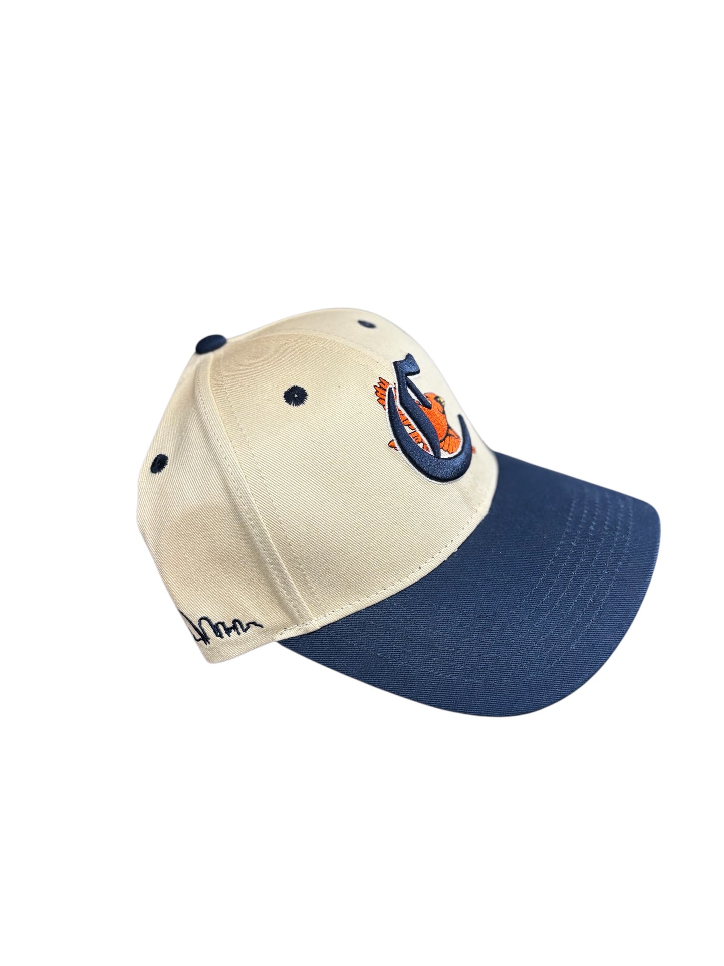 Birds Fly High Cap