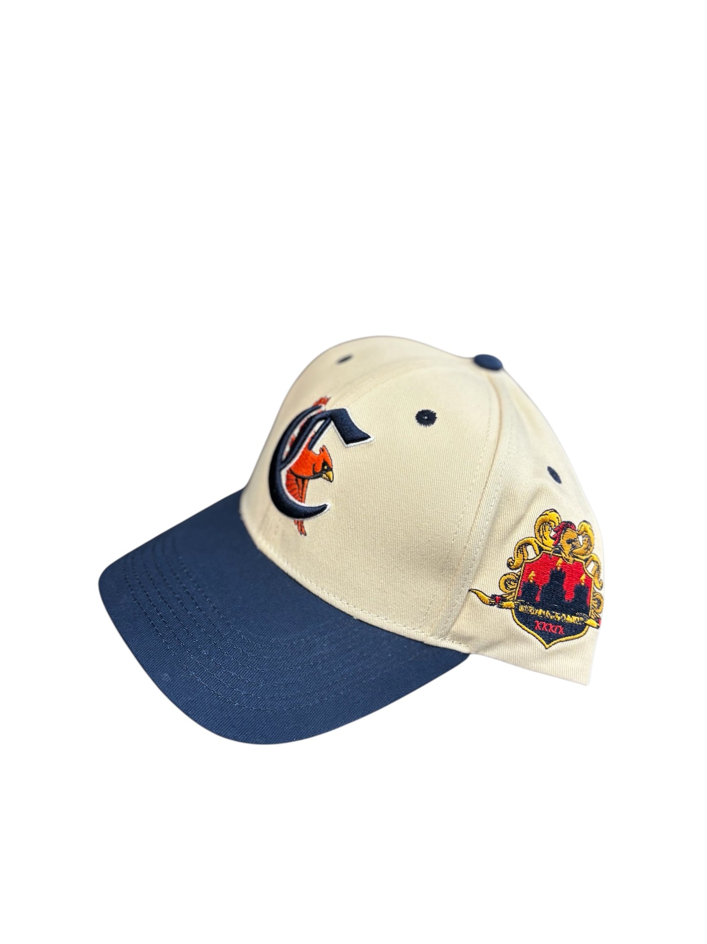 Birds Fly High Cap