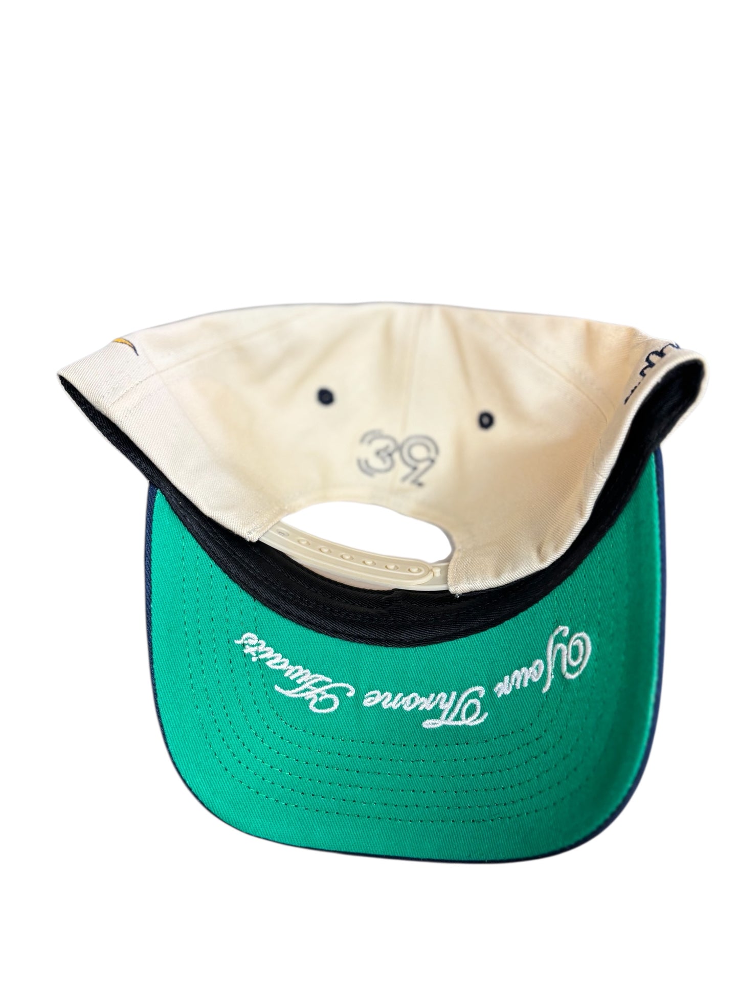 Birds Fly High Cap