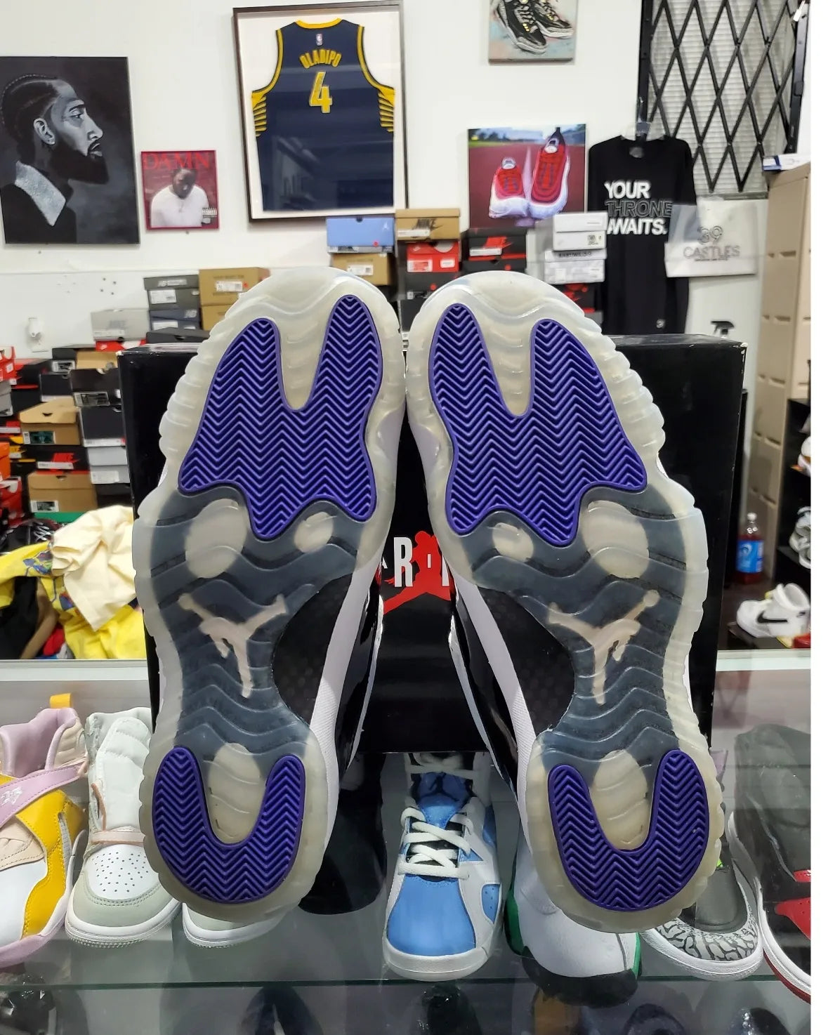 Air Jordan XI - "Concord" (2018)
