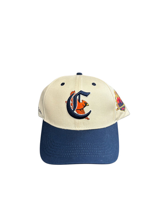 Birds Fly High Cap
